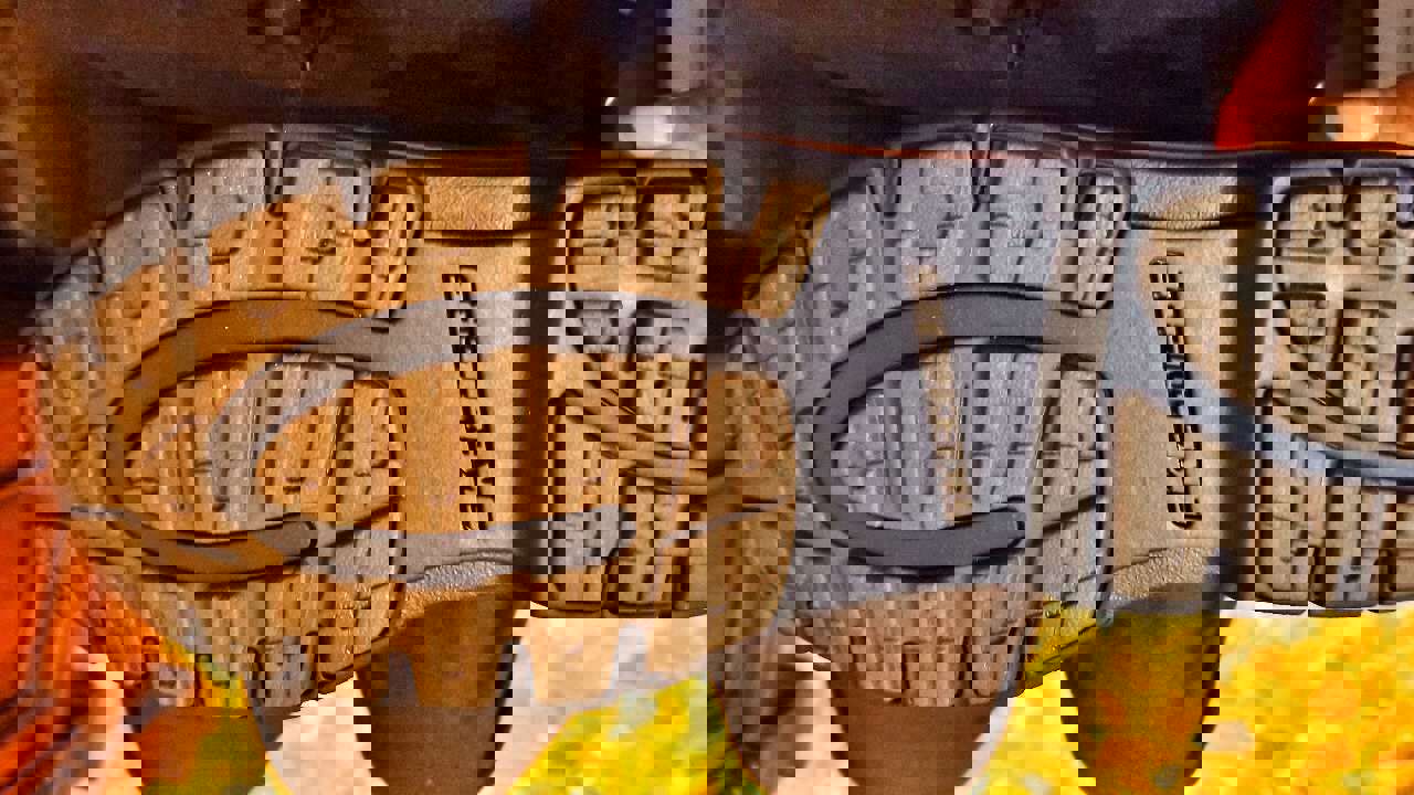 2981549