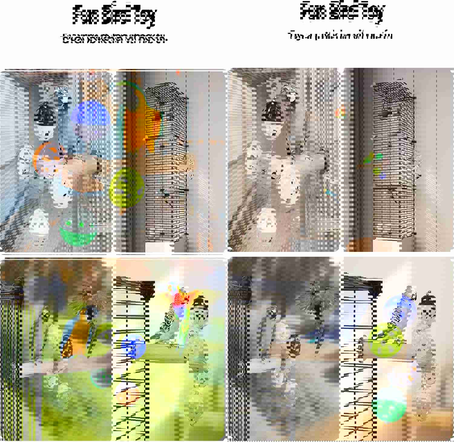 2981562