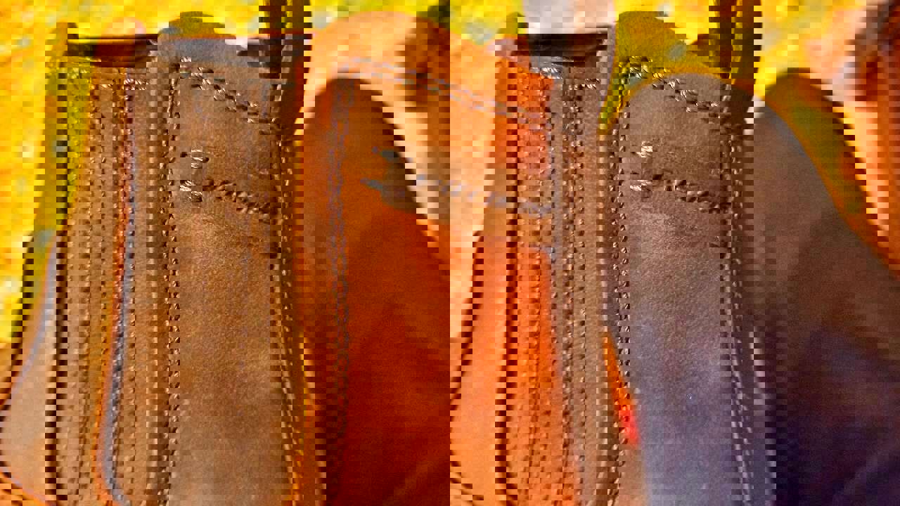 2981550