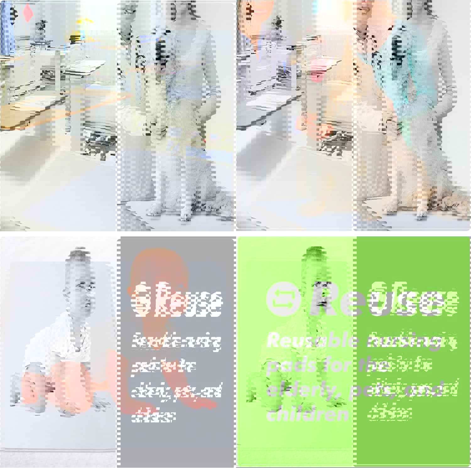 2981466