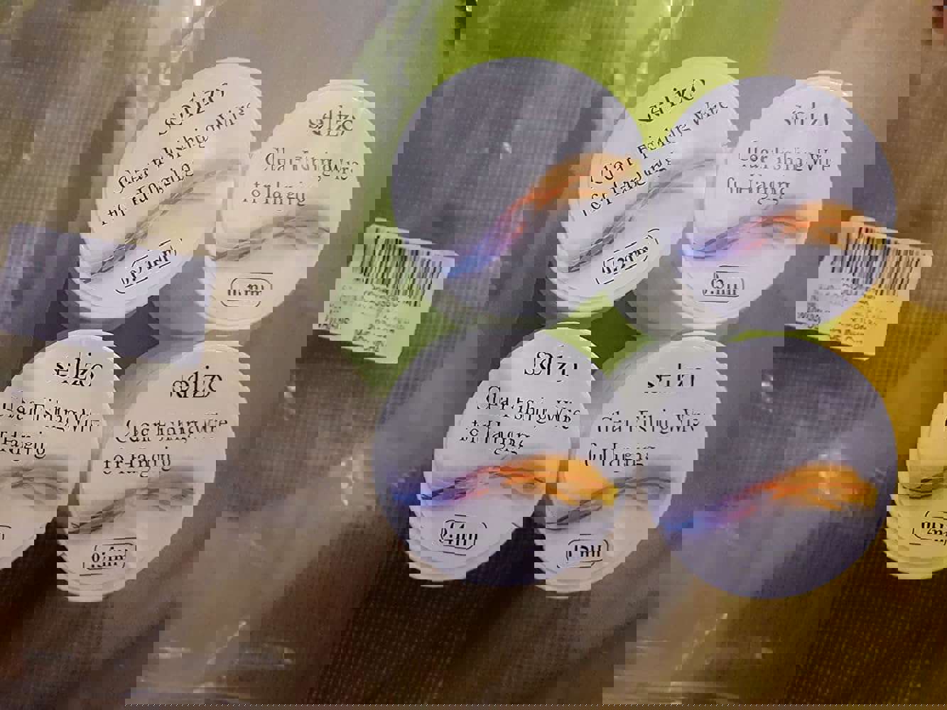 2981031