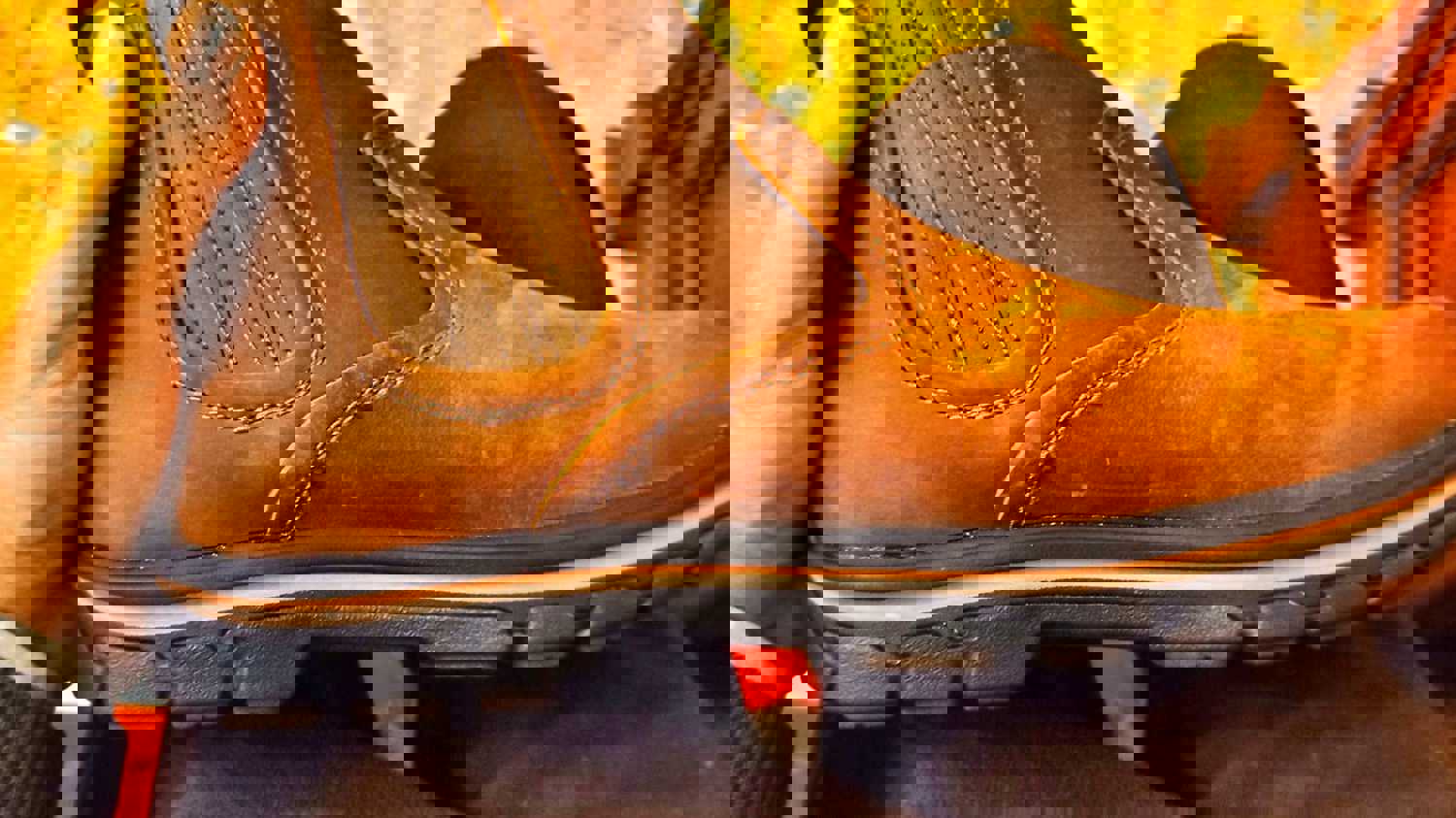 2981548