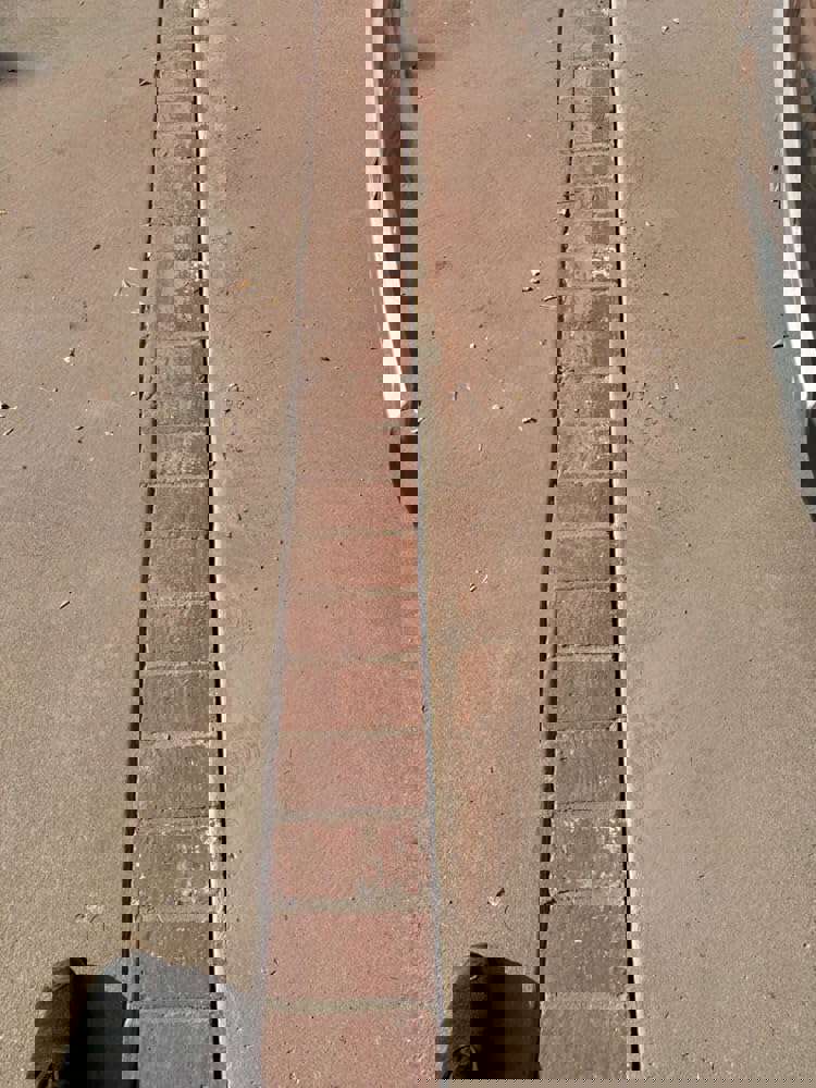 3006461
