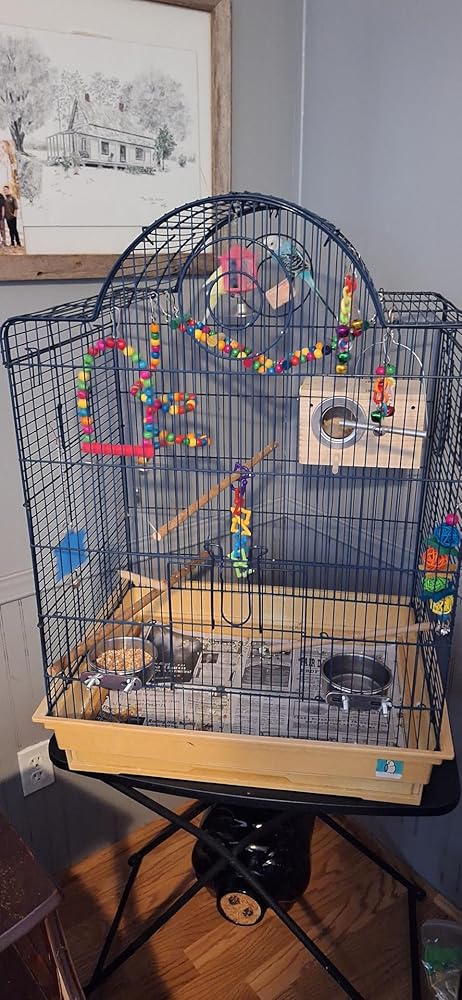 DVHEY Large Bird Feeding Dish Cups,Parrot Food Bowl Cage with Clamp Holder Stainless Steel,Birdcage Coop Water Feeder for Cockatiel Parakeet Macaw Finches Lovebirds Small Dog Cat Animal(1 Pack, Large)