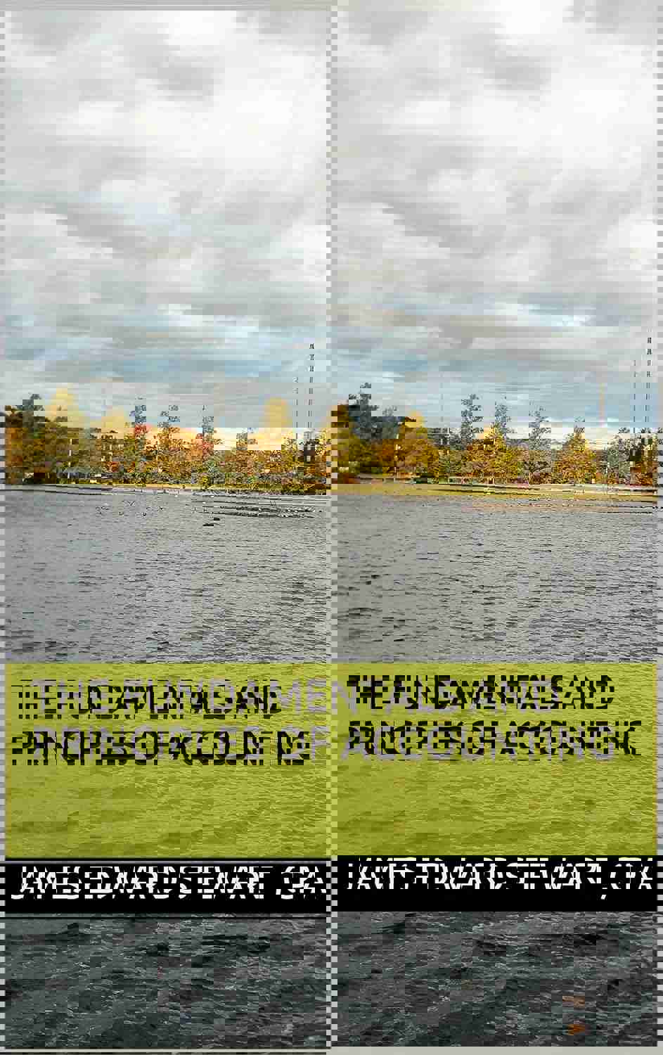 The Fundamentals and Principles of Accounting