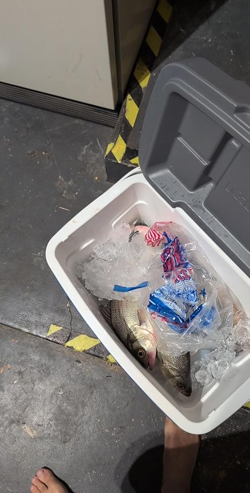 TRUSCEND Pre-Rigged Soft Fishing Lures, Well-Made Easy Catching Lures for Family Fishing, Great Action Swimbaits with Spinner, All-Conditions Fishing Gear for Bass Trout Walleye, Crappie Fishing Jigs