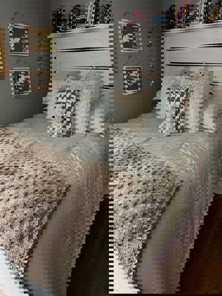 Bedsure Queen Comforter Set 5 Pieces - Bed in a Bag with Checkered Throw Blanket and Decorative Pillow, Lightweight Bedding Comforter Sets, All Season Boho Bedding, Linen Beige