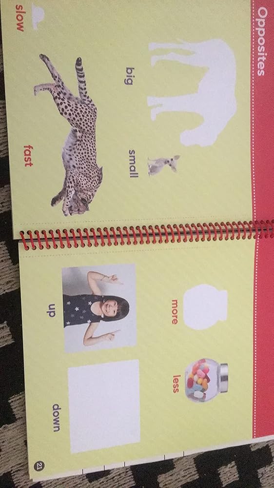 Brain Games - Sticker by Number: First Words (Ages 3 to 6): A Kid&#39;s Sticker Activity Book With More Than 150 Stickers!