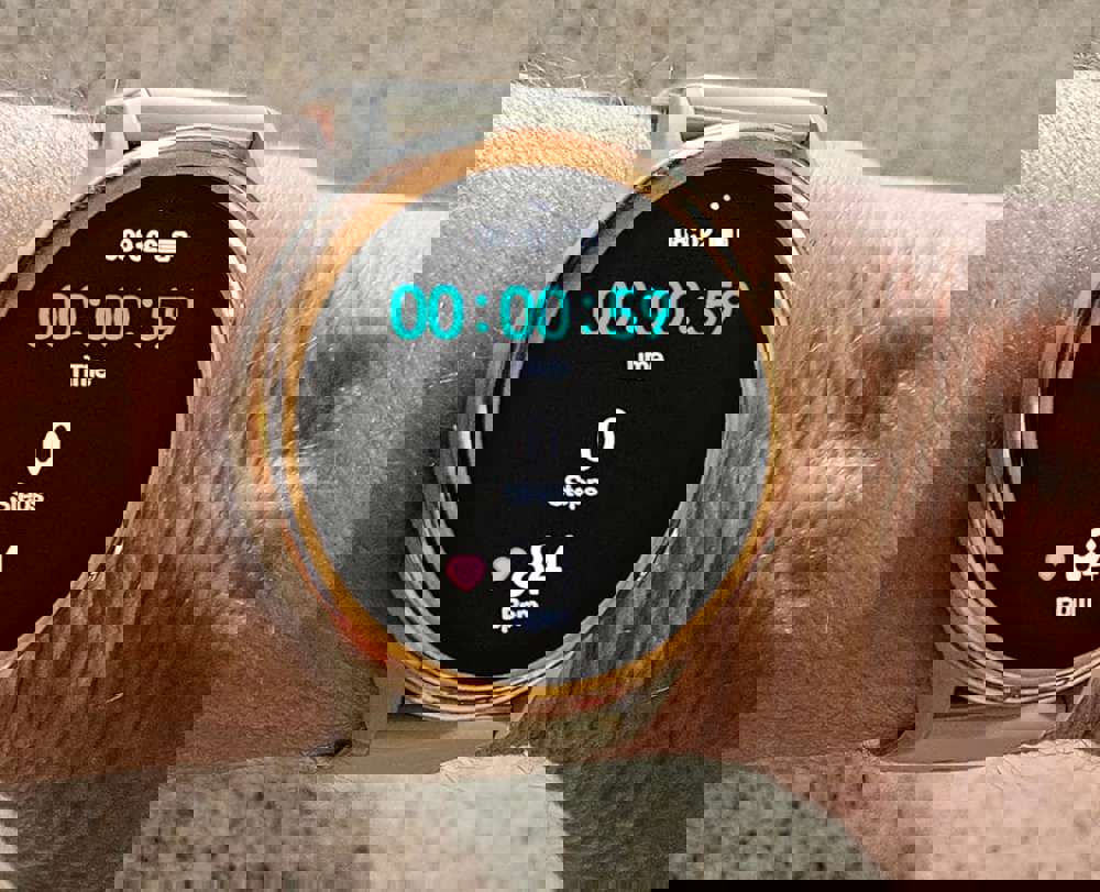 386316