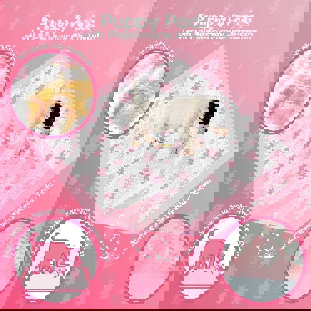372303