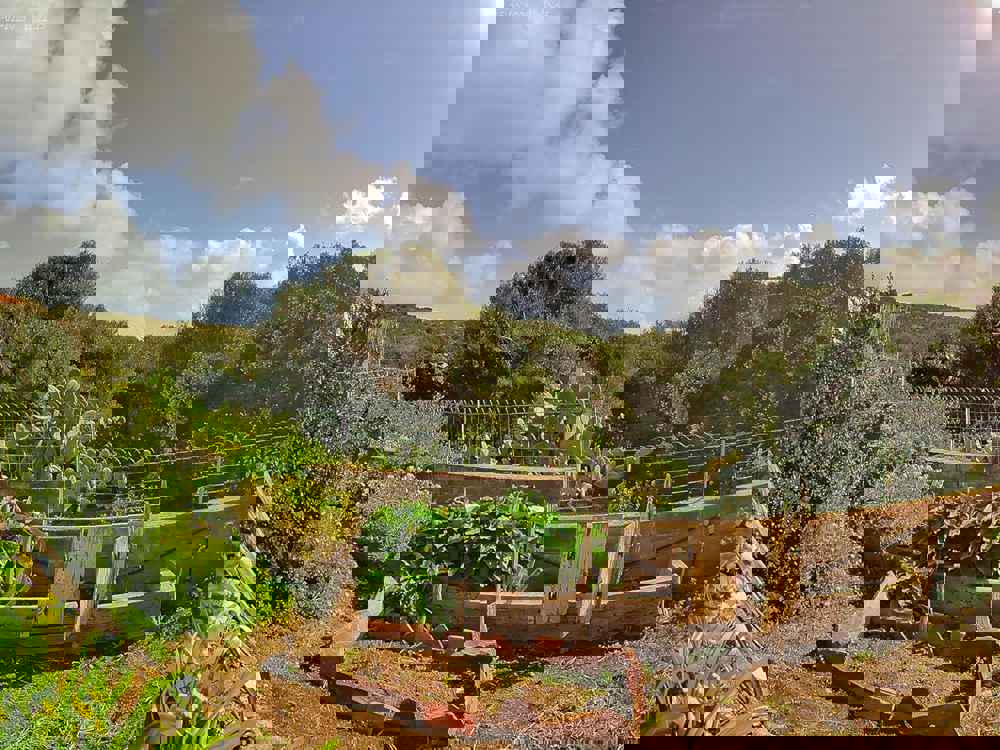 385810