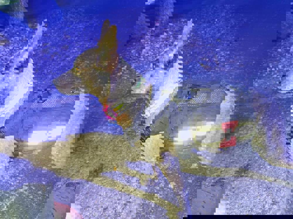 382630