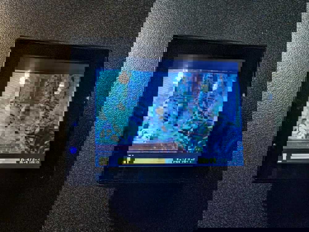 381801