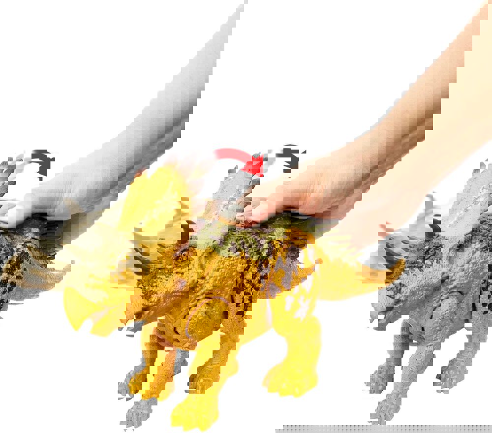 405416