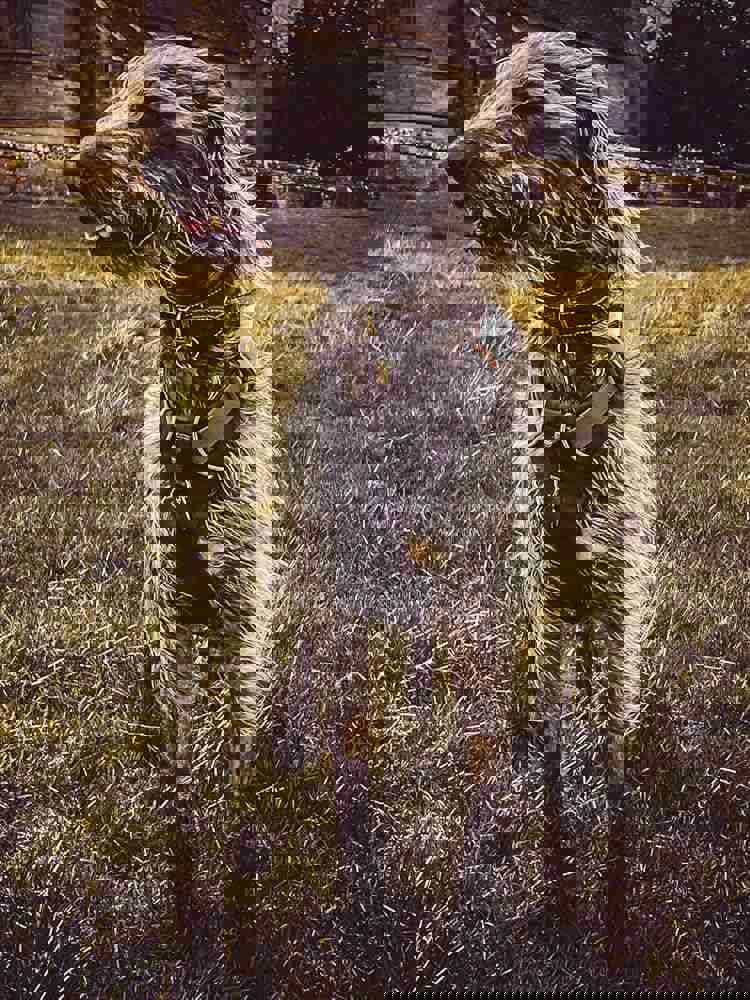 390410
