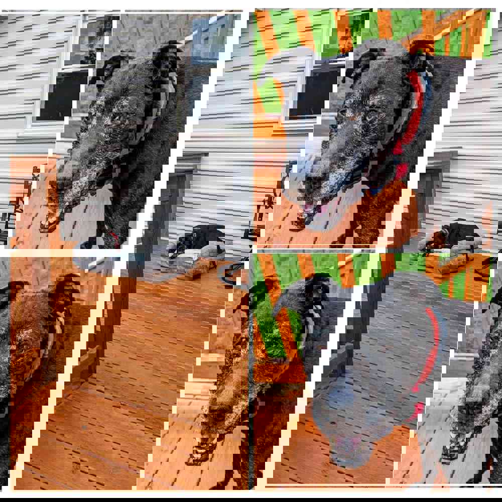 390458