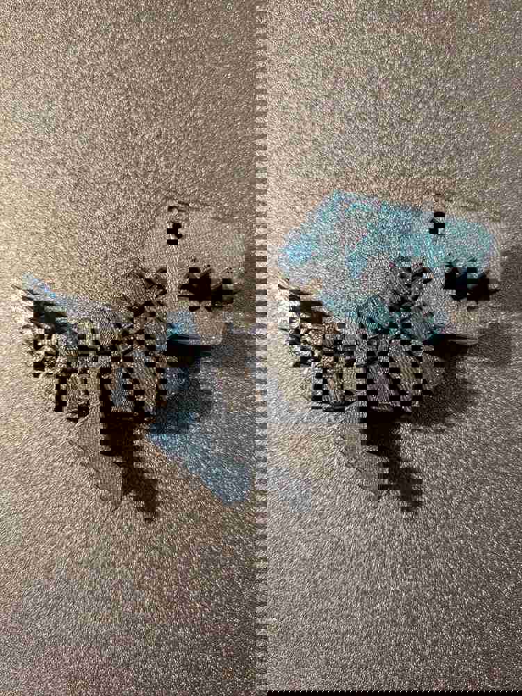 406745