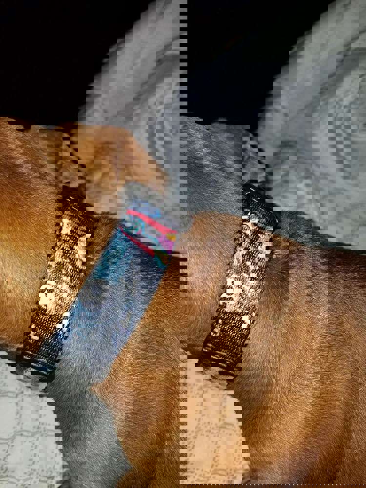 410835