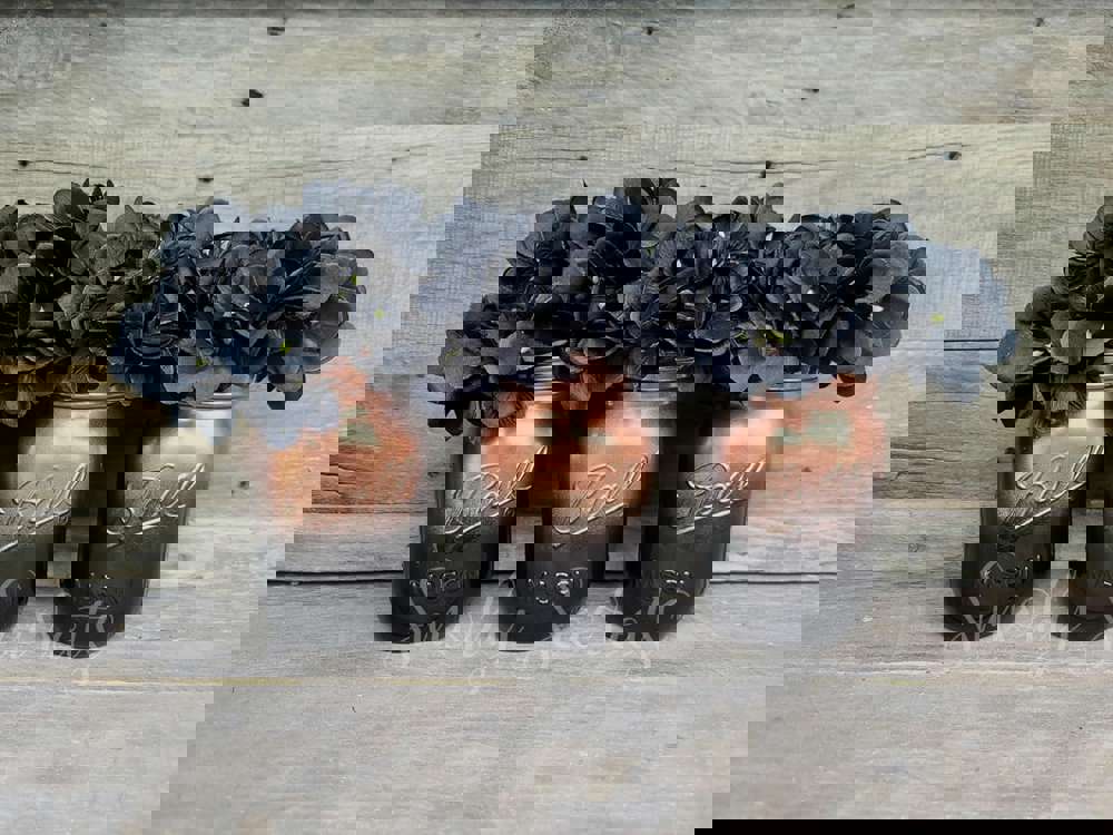 411853