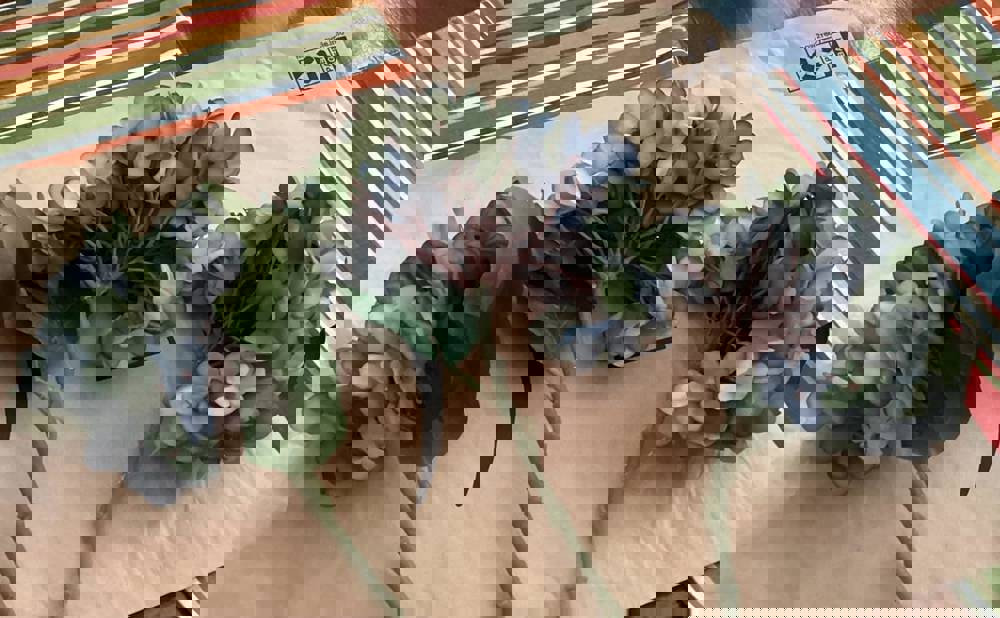 411851