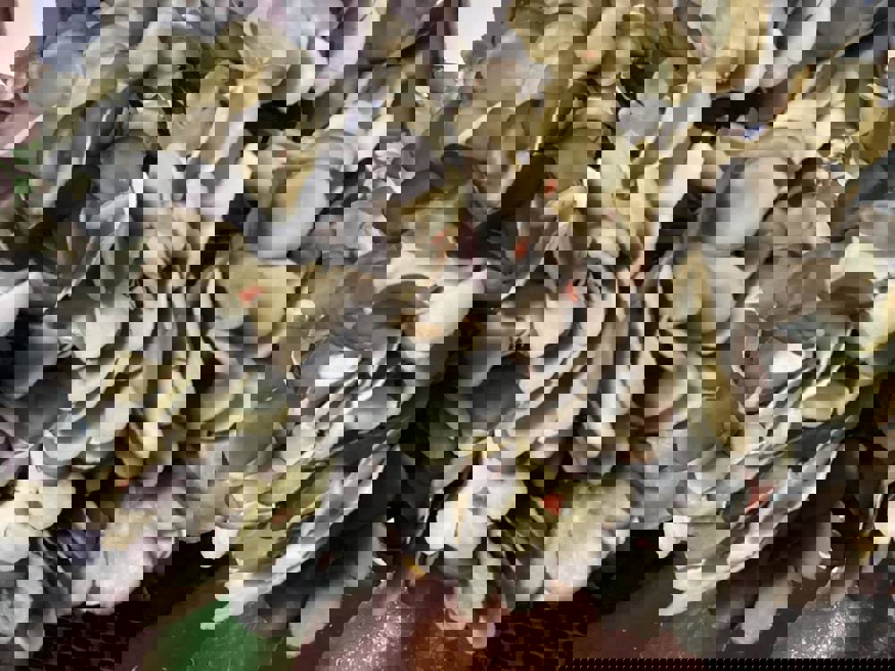 411852