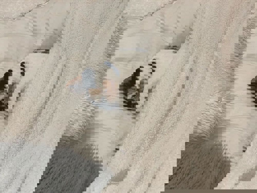534651
