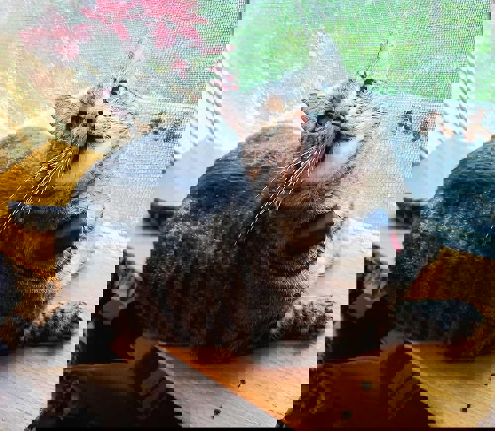534653