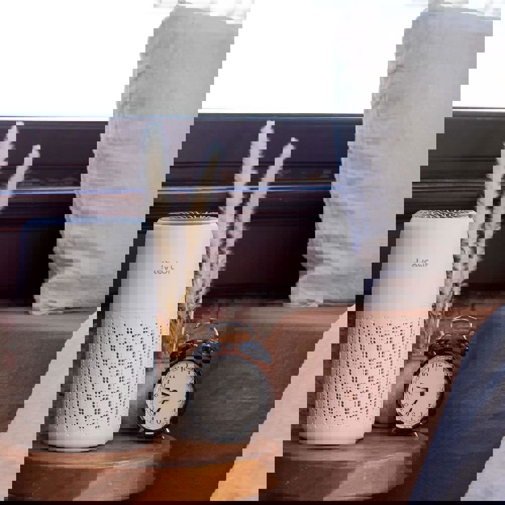 540365