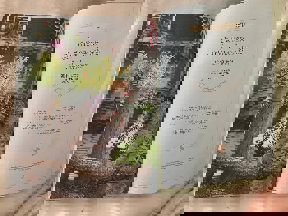 541327