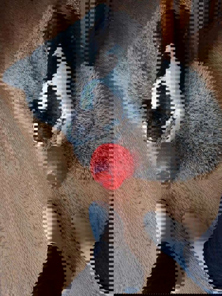 551435