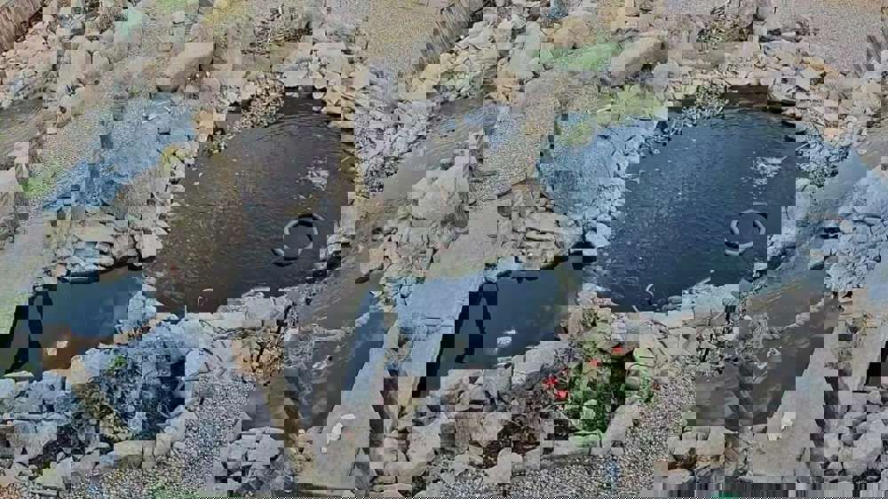 546841