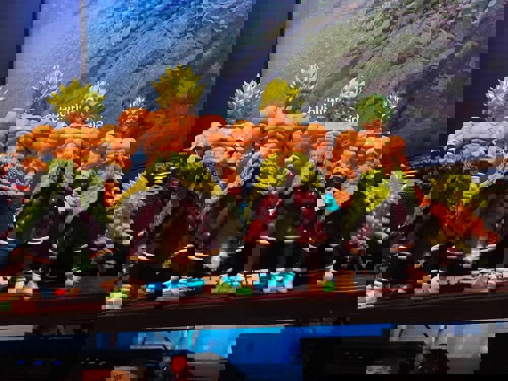 546637
