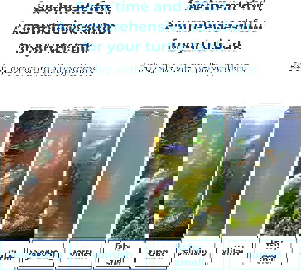 546152