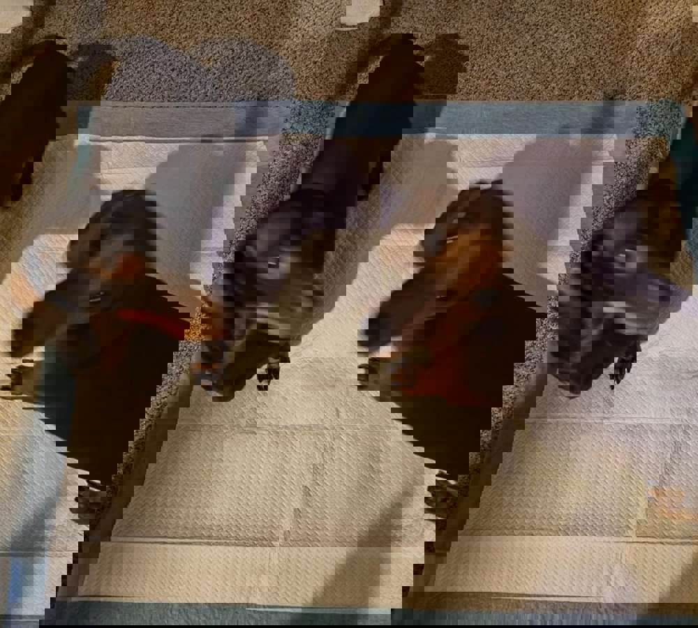 546175