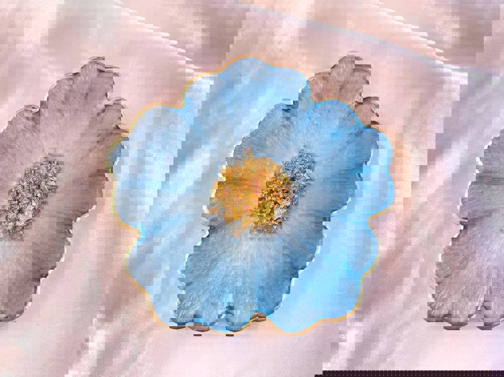 555323