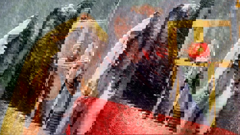 549529