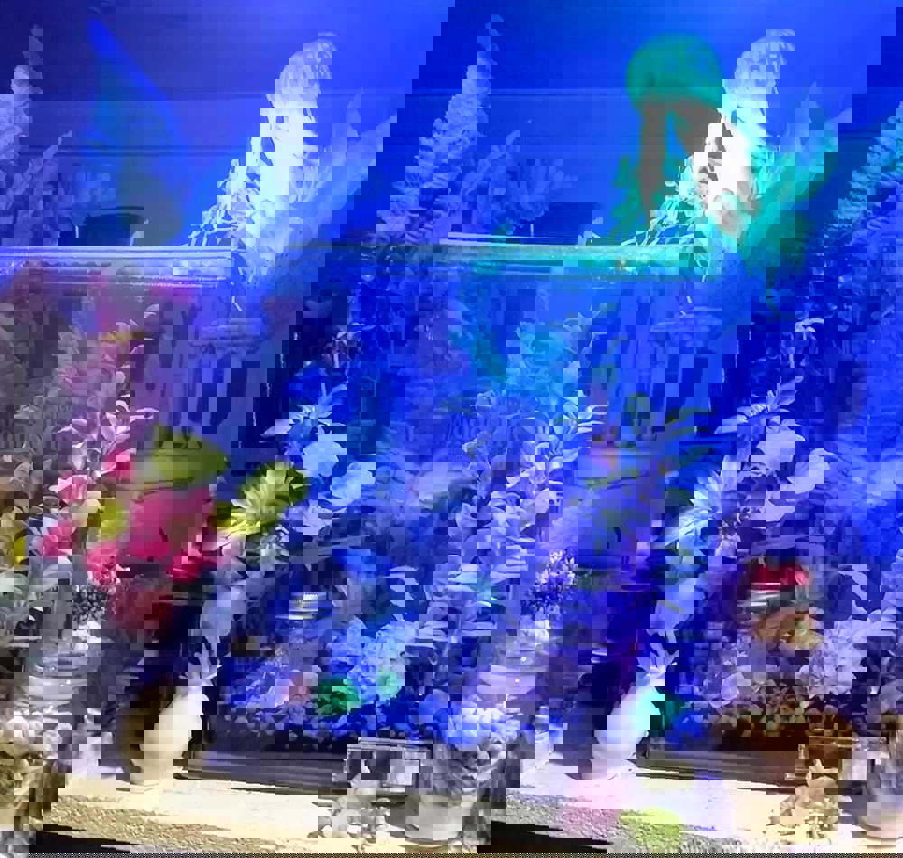 555289
