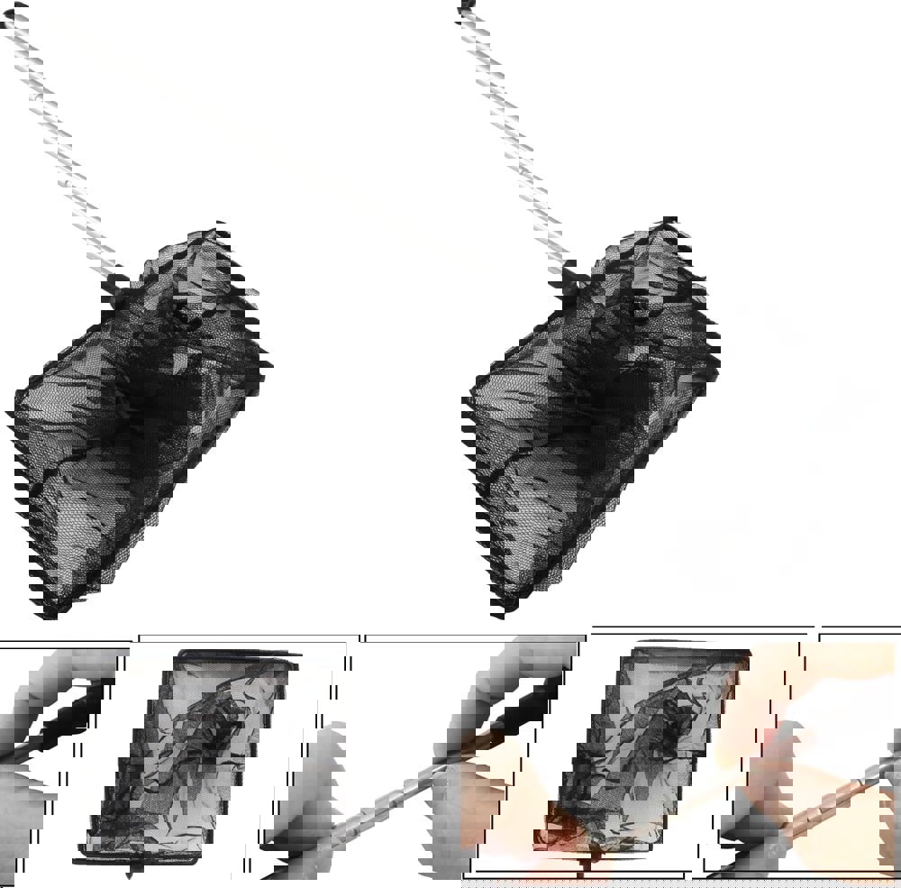 546244
