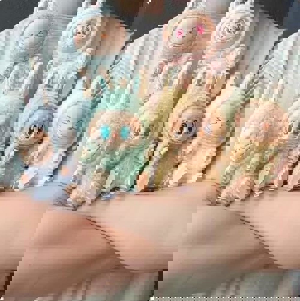 550096