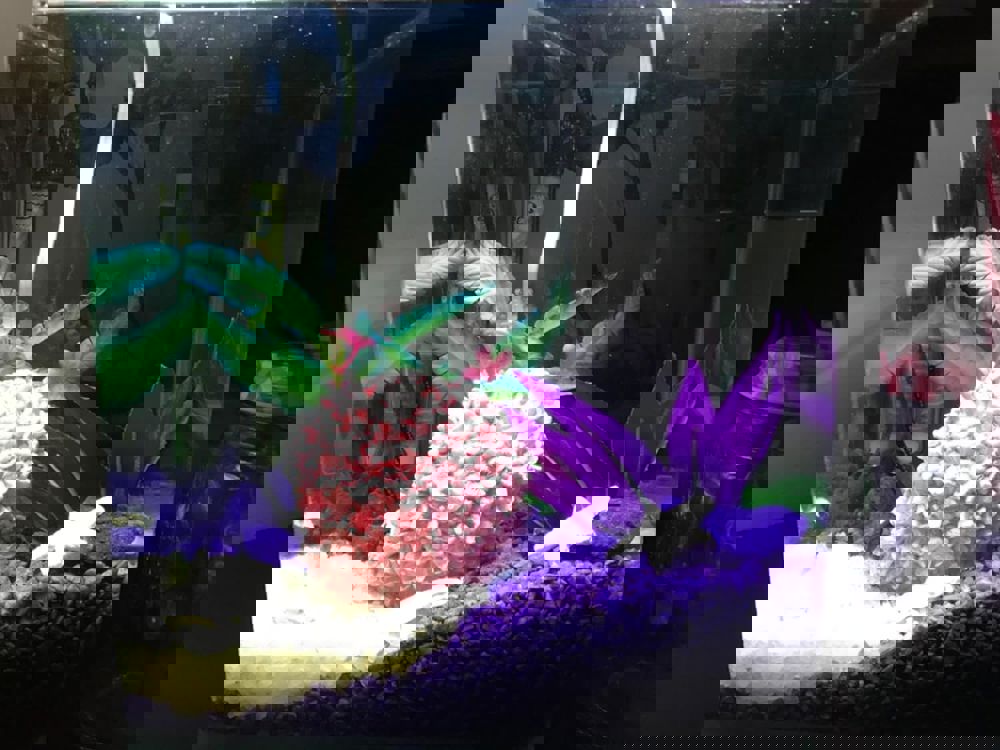 555292