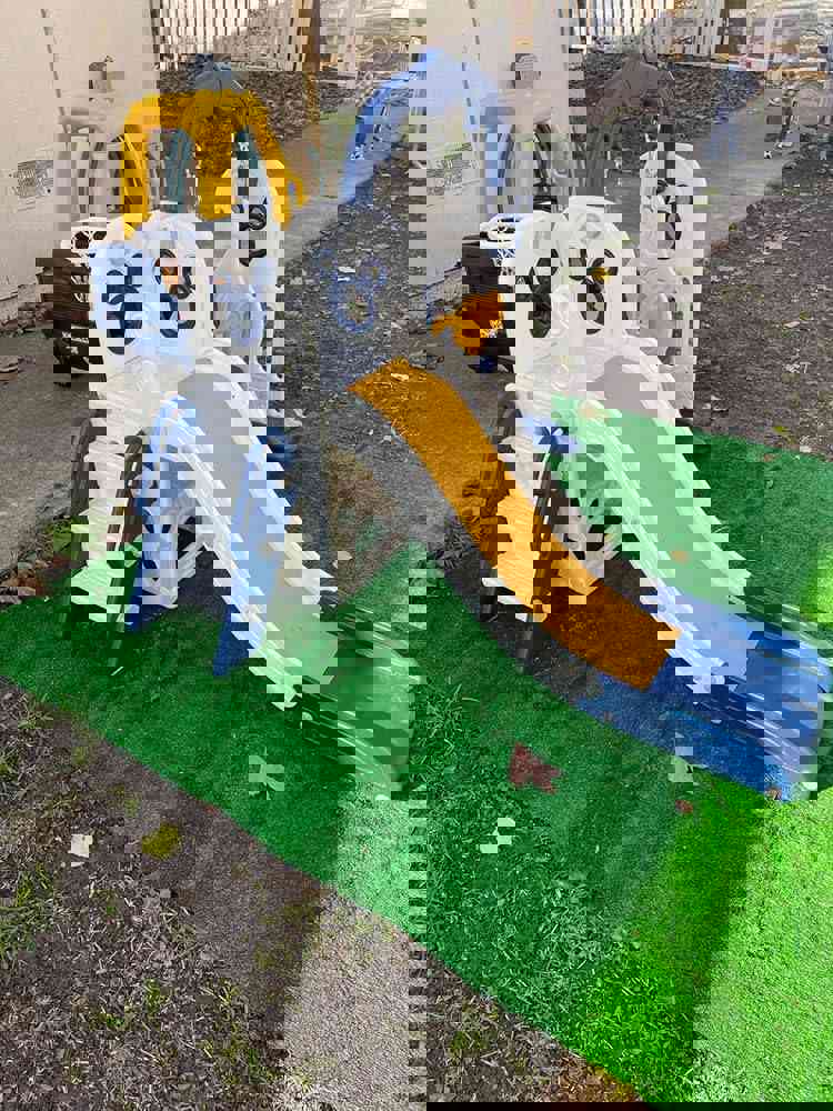 556147