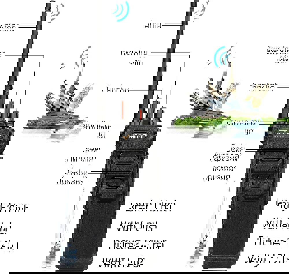 567500