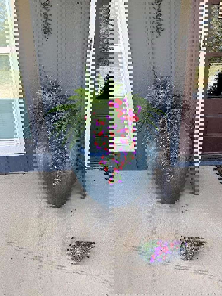 566287