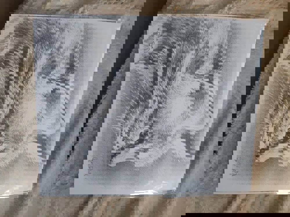 564768