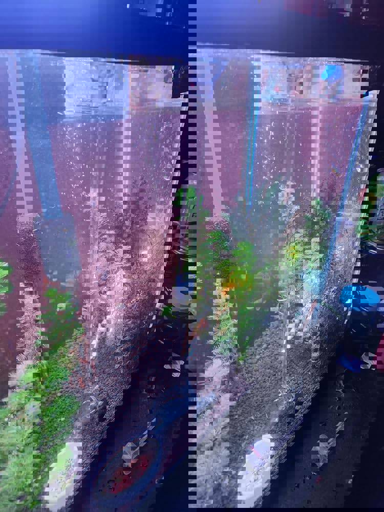 563037