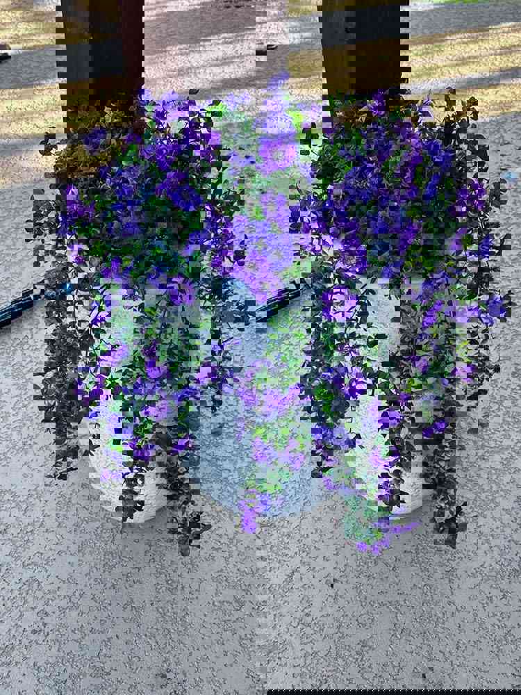 566289
