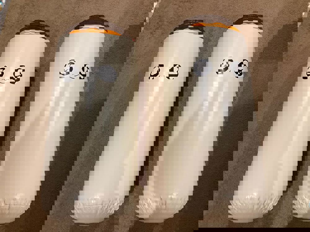 566525