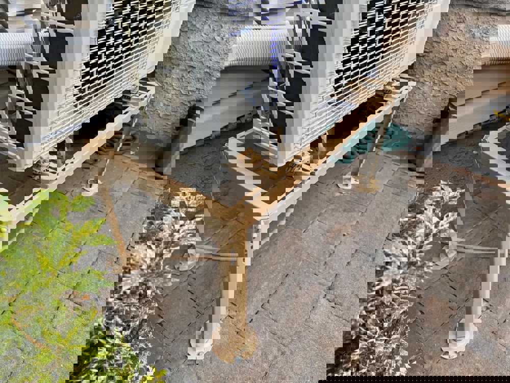 566769