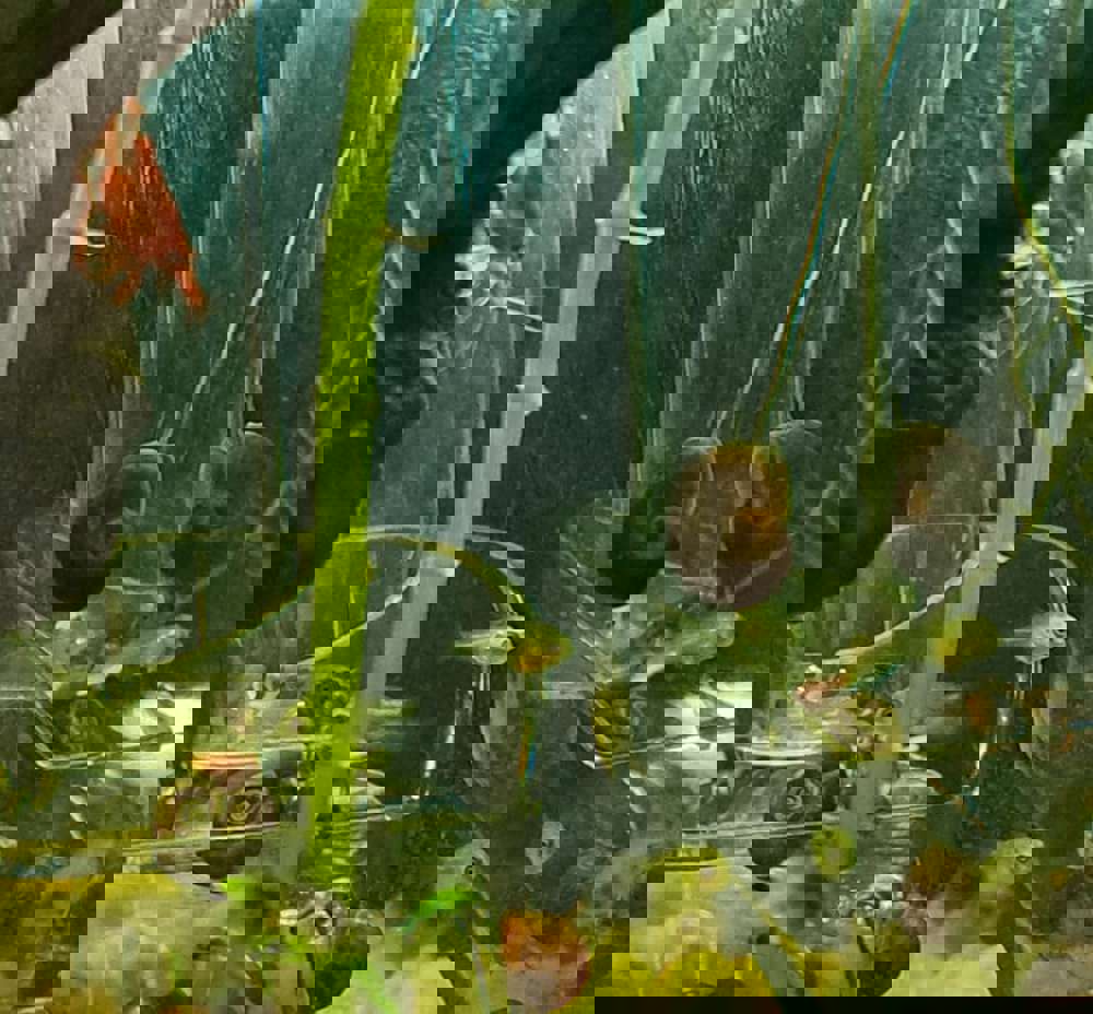 563033