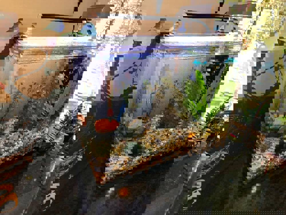 567682